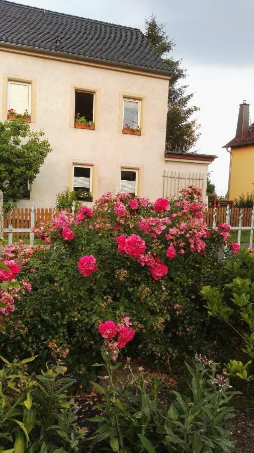 Fewo Strohbach Meissen Exterior photo